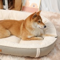 레드퍼피 레글런 코지 쿠션 강아지방석 강아지침대 애견침대 여름방석 침대 시원한 유모차방석