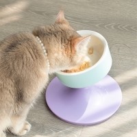 레드퍼피 알라딘 높이조절 식기 애견식기 강아지식기 식기 밥통 밥그릇