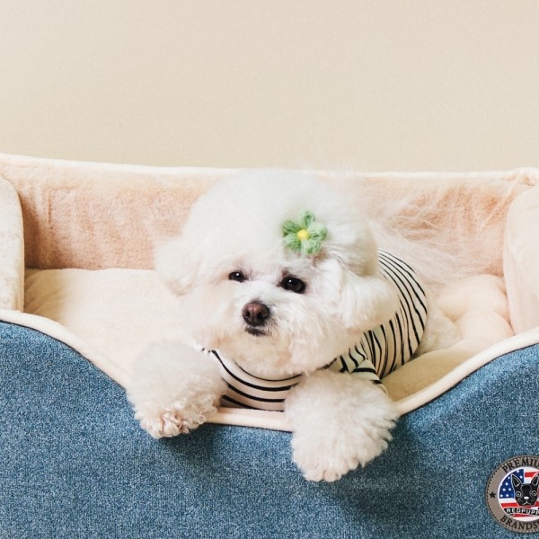 페오펫몰,레드퍼피 모네르 쿠션 강아지방석 강아지침대 애견침대 여름방석 침대 시원한 유모차방석