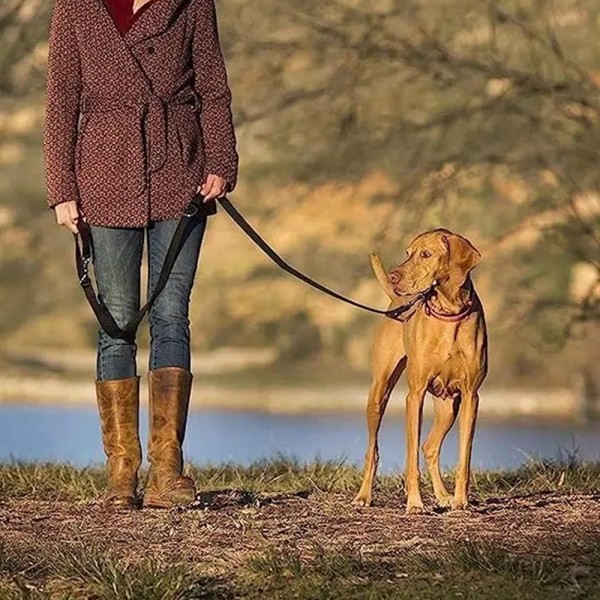 페오펫몰,레드퍼피 트렌스 리드줄 목줄 강아지산책 리드줄 강아지리드줄 강아지목줄 애견리드줄 애견목줄