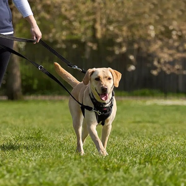 페오펫몰,레드퍼피 트렌스 리드줄 목줄 강아지산책 리드줄 강아지리드줄 강아지목줄 애견리드줄 애견목줄