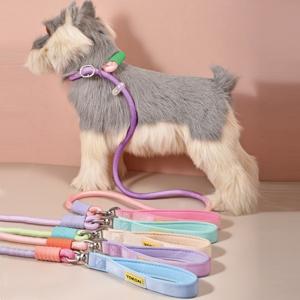 페오펫몰,레드퍼피 그라데이션 리드줄 목줄 강아지산책 리드줄 강아지리드줄 강아지목줄 애견리드줄 애견목줄