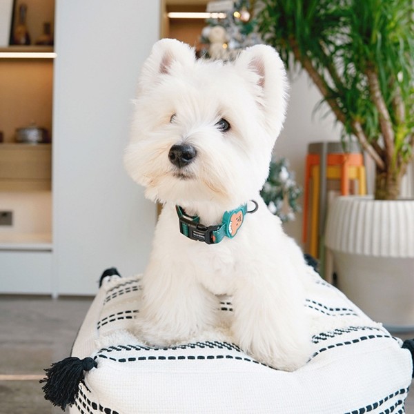 페오펫몰,레드퍼피 콘포목줄세트[리드줄포함] 목줄 강아지산책 리드줄 강아지리드줄 강아지목줄 애견리드줄 애견목줄