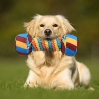 레드퍼피 파피오아령장난감 터그놀이 간식통 노즈워크 삑삑이 애견훈련 공