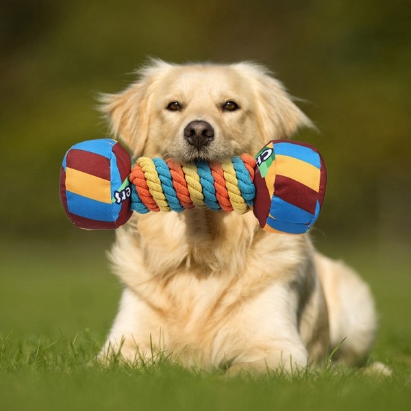 페오펫몰,레드퍼피 파피오아령장난감 터그놀이 간식통 노즈워크 삑삑이 애견훈련 공