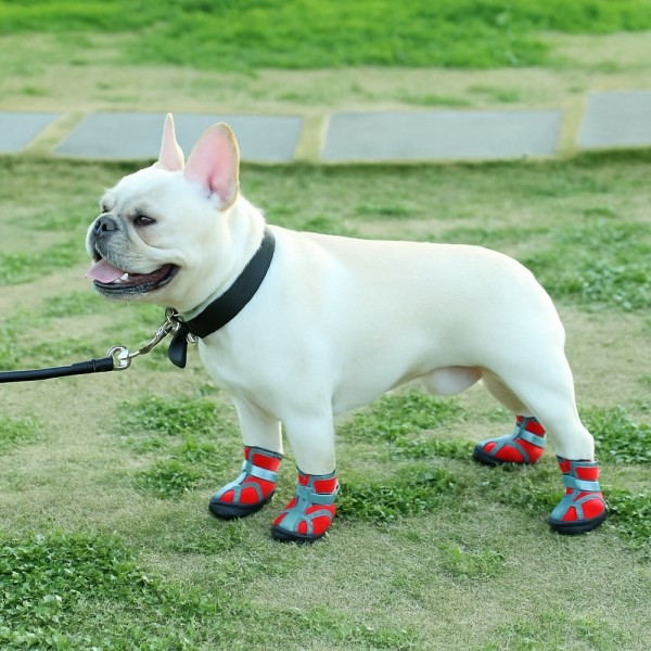 페오펫몰,레드퍼피 드라코 강아지메쉬신발[S~XL] 신발 보호