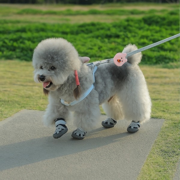 페오펫몰,레드퍼피 드라코 강아지메쉬신발[S~XL] 신발 보호