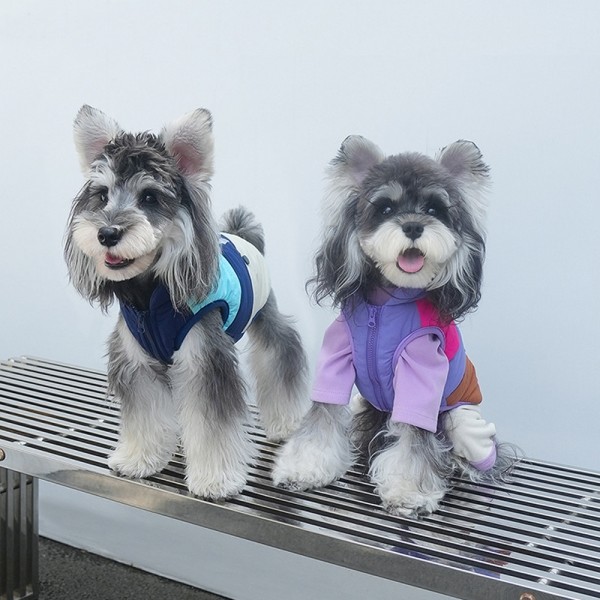 레드퍼피 갤러리 배색조끼 [S~2XL] 점퍼 패션용품 패션 옷 점퍼 티 따뜻한 야간 여름 비옷