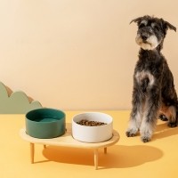 레드퍼피 그레이스 세라믹식기 세트 식기 애견식기 강아지식기 식기 밥통 밥그릇