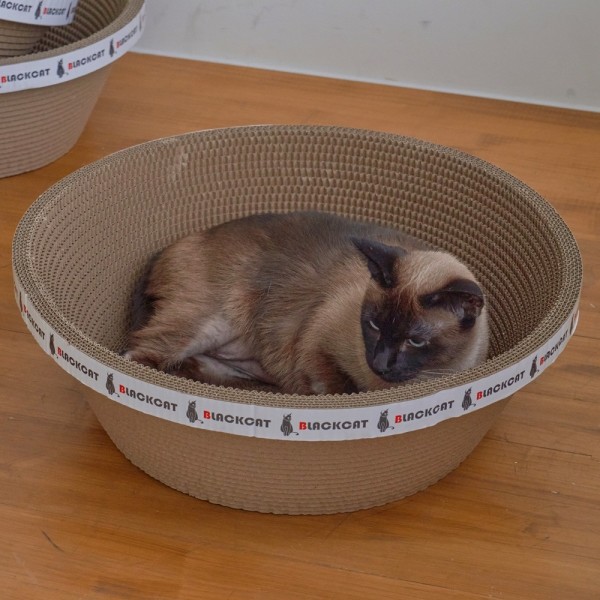 페오펫몰,레드퍼피 네코야 로시에스크래쳐 고양이하우스 고양이스크래쳐 손톱관리 스크래쳐 대형스크래쳐 고양이용품