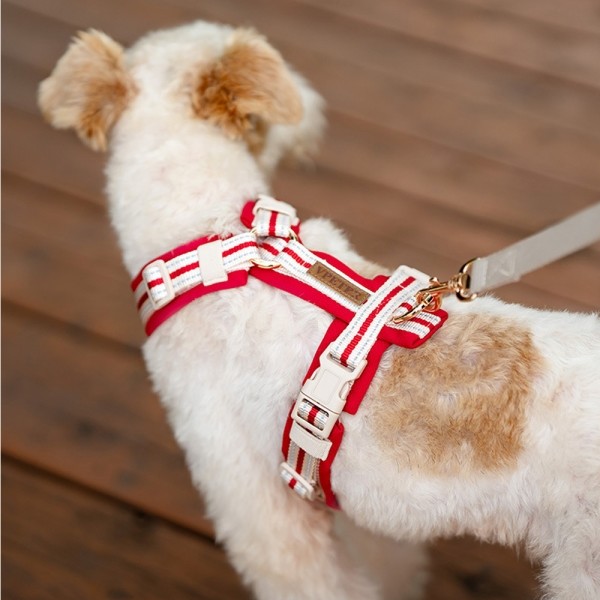 페오펫몰,레드퍼피 벨트 하네스[S~XL] 목줄 강아지산책 리드줄 강아지리드줄 강아지목줄 애견리드줄 애견목줄