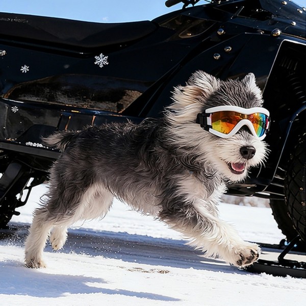 페오펫몰,레드퍼피 스포키 애견전용 고글 강아지고글 고글 라이딩 라이더고글 오토바이 패션