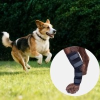 레드퍼피 하이엔 펫 슬개골 보호대 신발 보호