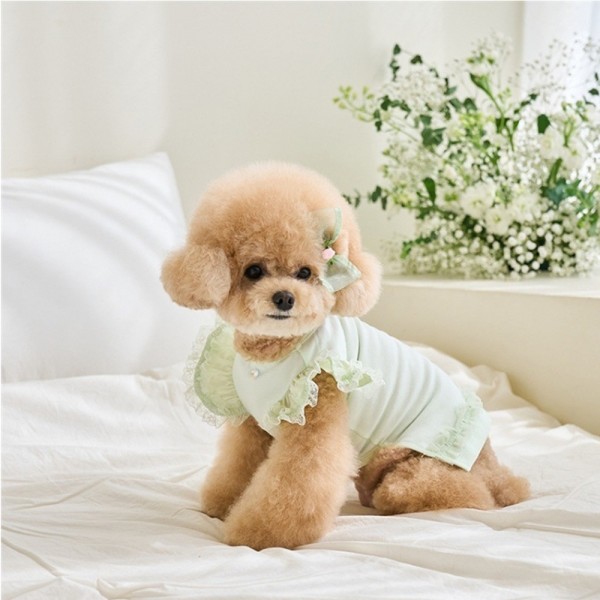 페오펫몰,레드퍼피 신데렐라 원피스 패션용품 패션 옷 점퍼 티 따뜻한 야간 여름