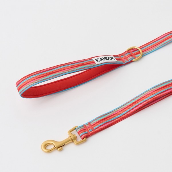 페오펫몰,[아이캔더] 젠틀 리쉬_롤리팝