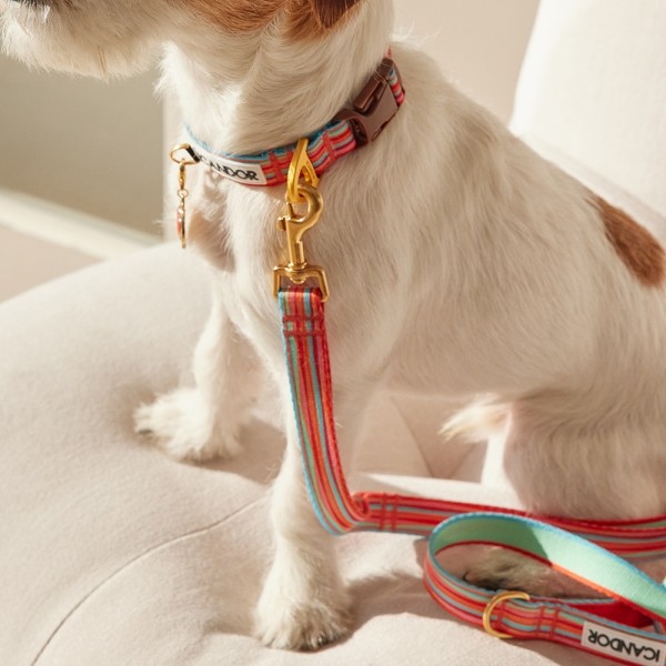 페오펫몰,[아이캔더] 젠틀 리쉬_롤리팝