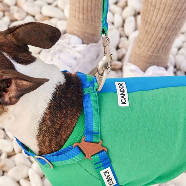 페오펫몰,[아이캔더] 노-풀 하네스_포레스트