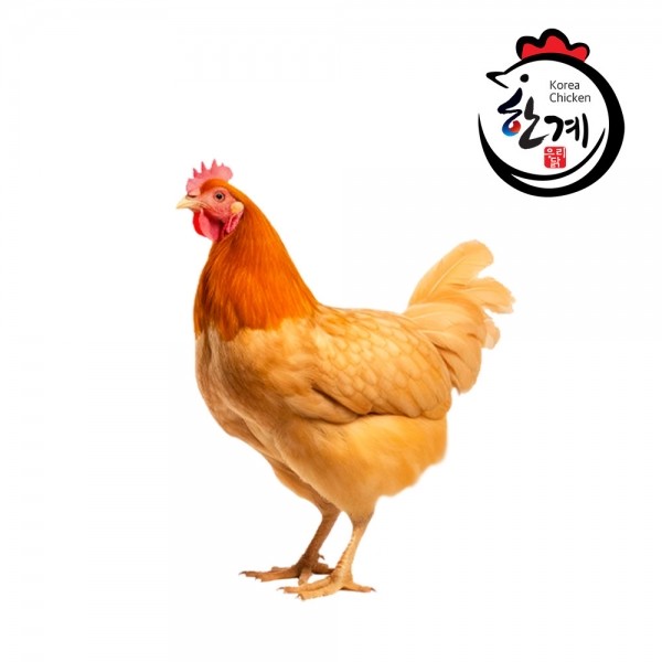 페오펫몰,더보양 보양새참 육즙 가득 스팀 닭 가슴살 20g x 5개