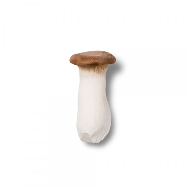 페오펫몰,더보양 저알러지 단백질 곤충사료 보양진지 50g x 6개