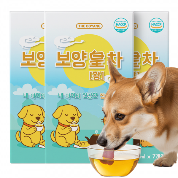 [댕캉스특가]더보양 강아지 고양이 보약 영양음료 보양황차 40ml x 21개