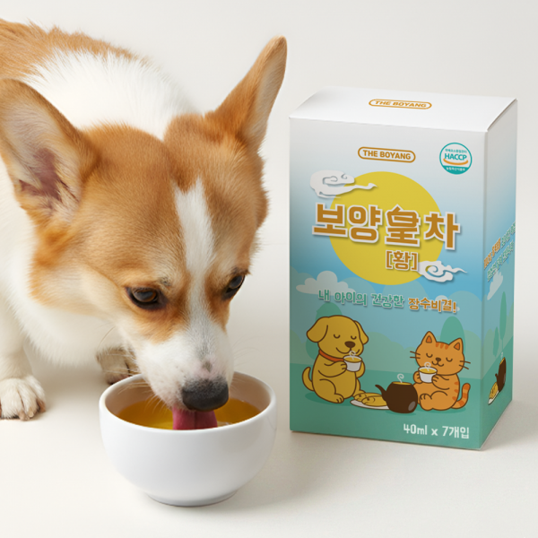 더보양 강아지 고양이 보약 영양음료 보양황차 40ml x 7개