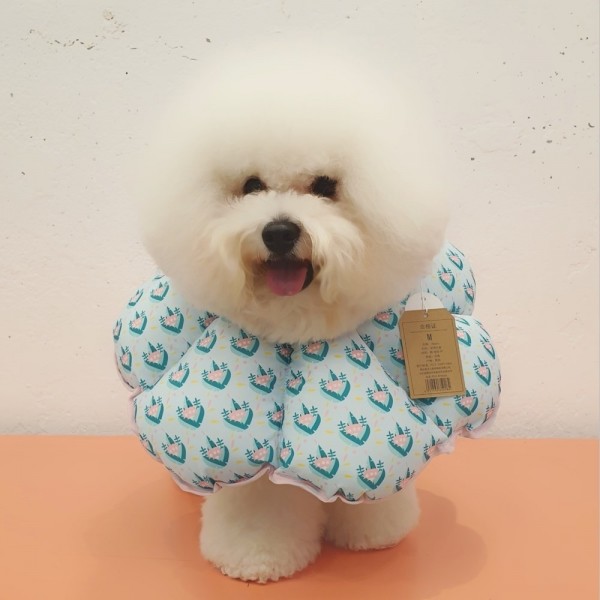 페오펫몰,리치독스 완전방수 강아지 고양이 꽃넥카라 상처보호 목보호대 깔대기 대형견 [최저가]