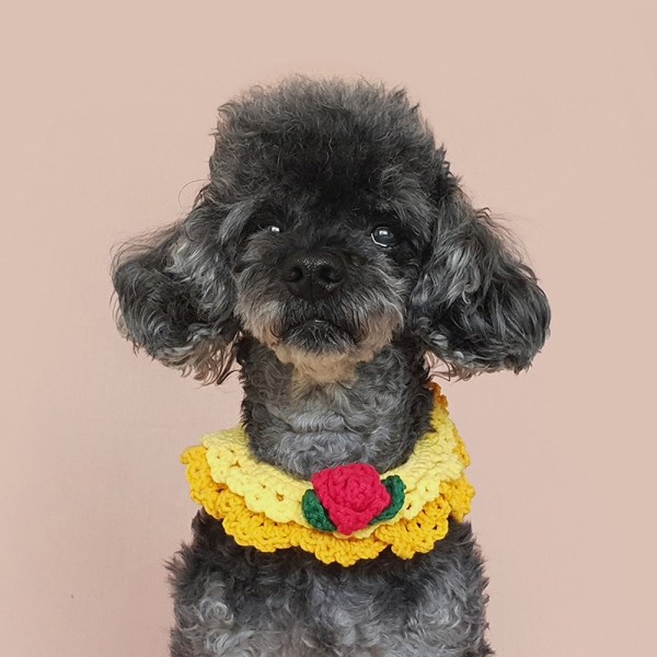 페오펫몰,어거스트제이 프린세스 케이프 - 벨/미녀와야수 강아지 고양이 뜨개 목걸이