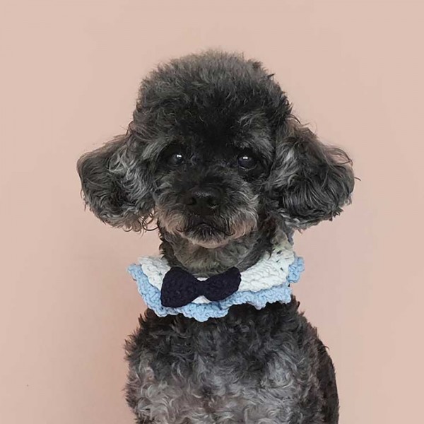 페오펫몰,어거스트제이 프린세스 케이프 - 앨리스 강아지 고양이 뜨개 목걸이