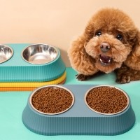 [댕썸머특가] 펫트너스 레이스 강아지 식기 고양이 밥그릇 물그릇 2구