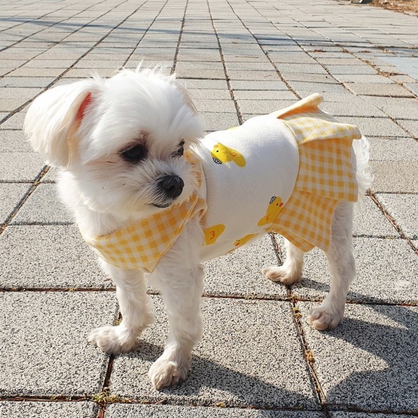 페오펫몰,병아리원피스 강아지옷 실내복 강아지명품옷 애견옷