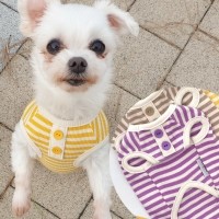 봉봉줄무늬 티셔츠 강아지옷 실내복 강아지명품옷 애견옷