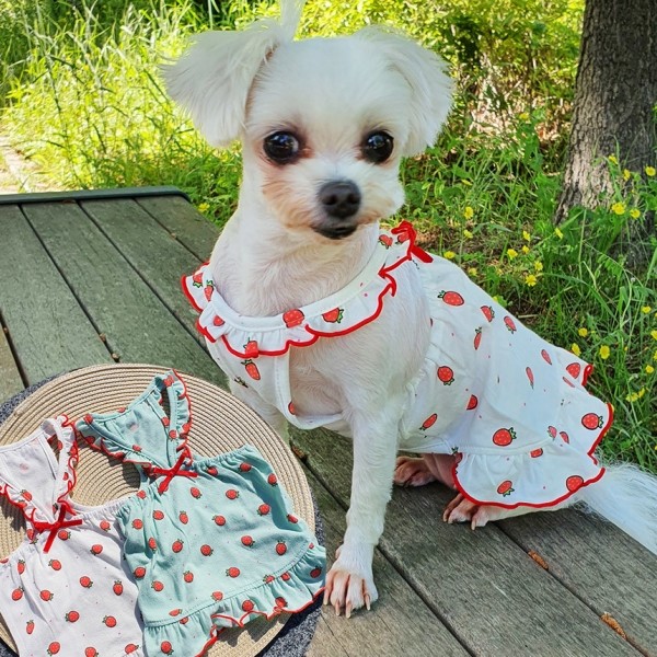 페오펫몰,딸기프릴원피스 강아지옷 실내복 강아지명품옷 애견옷