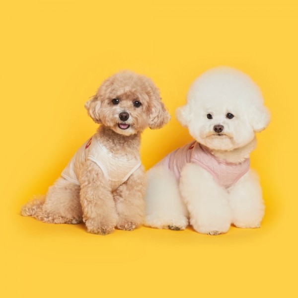 페오펫몰,플로트 데일리 봄봄 조끼 2컬러 강아지옷