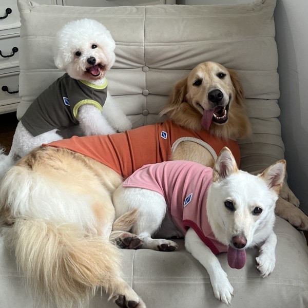 어텀 테리 민소매 (M-6XL)