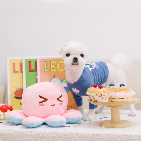 페오펫몰,강아지 노즈워크 장난감 문어노즈워크