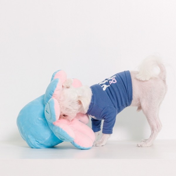 페오펫몰,강아지 노즈워크 장난감 문어노즈워크