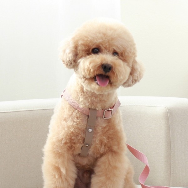 페오펫몰,[댕보양특가] 러닝 메이트 하네스 (가슴줄) 로즈 핑크/브라운