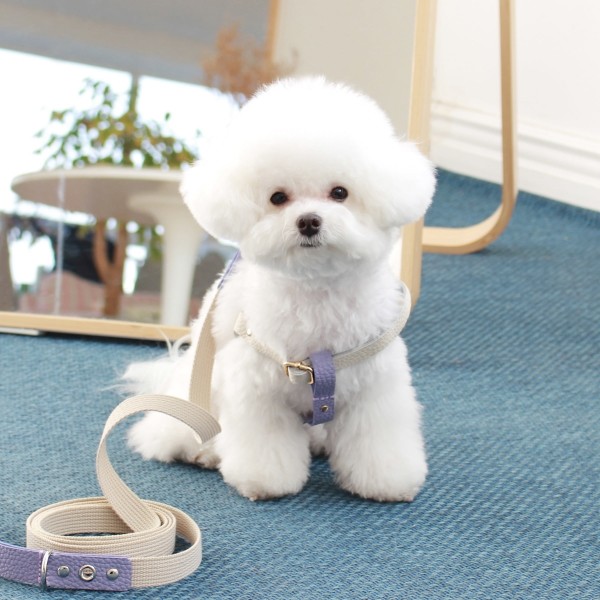 페오펫몰,[댕보양특가] 러닝 메이트 하네스 (가슴줄) 화이트/바이올렛