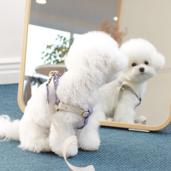 페오펫몰,[댕보양특가] 러닝 메이트 하네스 (가슴줄) 화이트/바이올렛