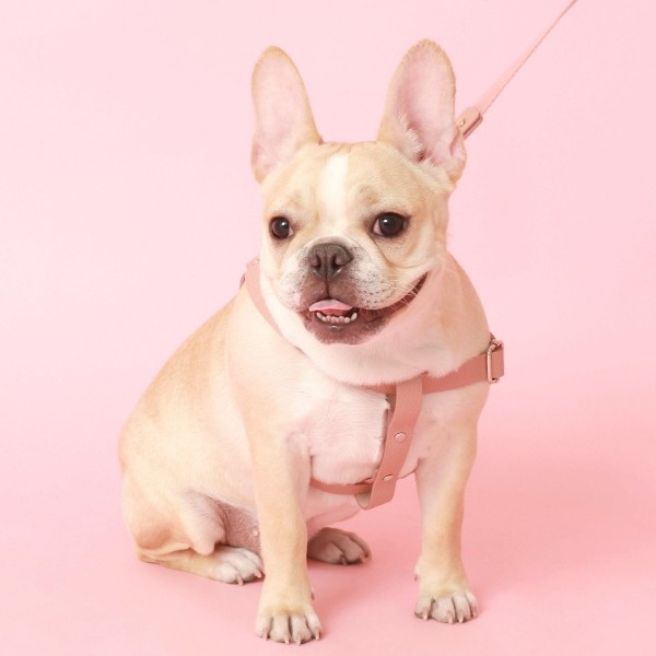 페오펫몰,[댕보양특가] 러닝 메이트 하네스 (가슴줄) 로즈 핑크