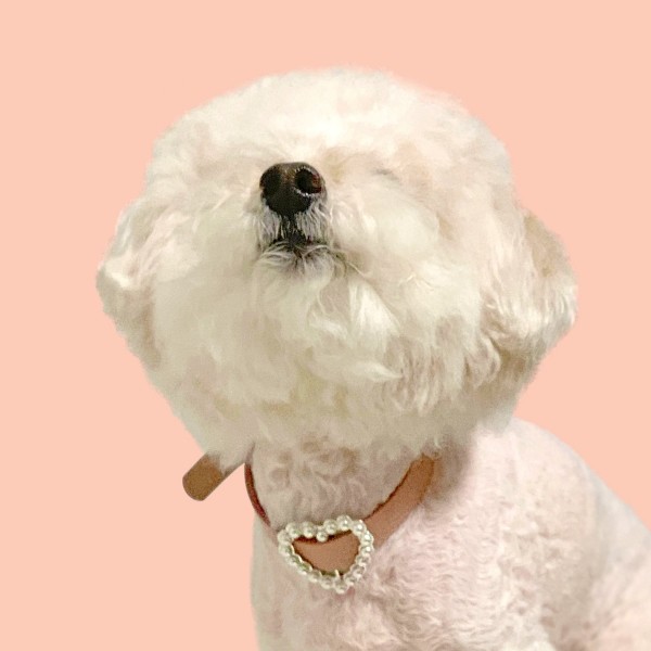 페오펫몰,[댕보양특가] 하트 진주 목줄 로즈 핑크