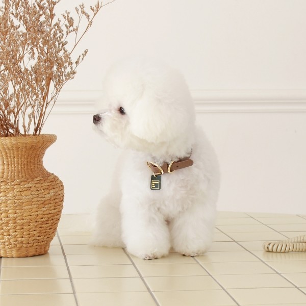 페오펫몰,[댕보양특가] 하트 펜던트 목줄 브라운