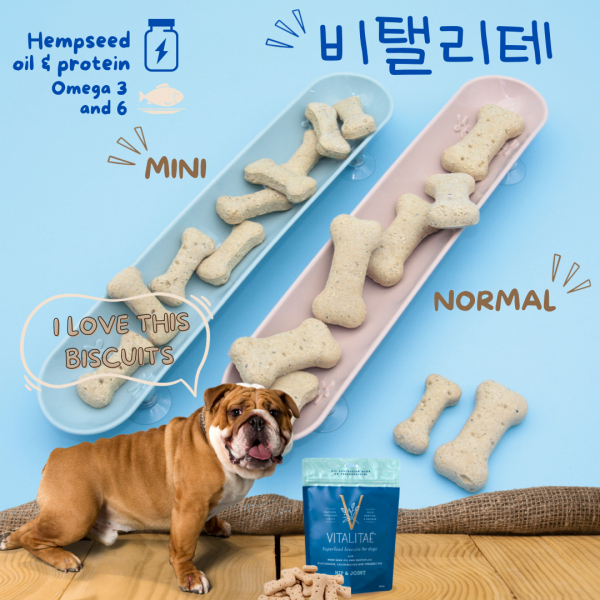 페오펫몰,[댕린이특가] 넘어지지 않는 기다란 슬로우 식기 펫스낵보울 다묘 소형견 급체방지