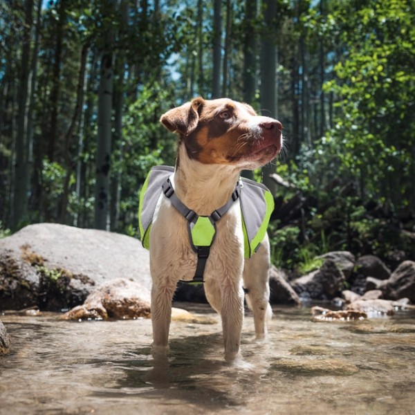 페오펫몰,펫테일 중형견 대형견 배변 간식 가방 주머니 애견 백팩 강아지 하네스 가슴줄