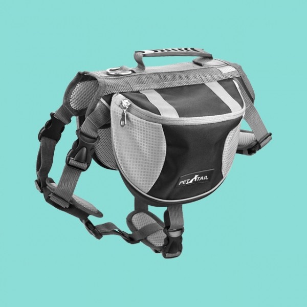 페오펫몰,펫테일 중형견 대형견 배변 간식 가방 주머니 애견 백팩 강아지 하네스 가슴줄