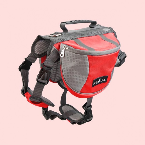 페오펫몰,펫테일 중형견 대형견 배변 간식 가방 주머니 애견 백팩 강아지 하네스 가슴줄