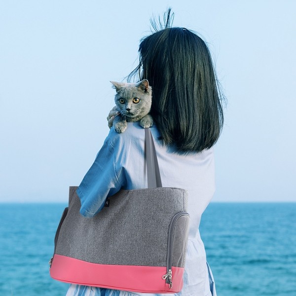 페오펫몰,펫테일 강아지 이동가방 고양이 이동장 애견 캐리어 산책 기내용가방