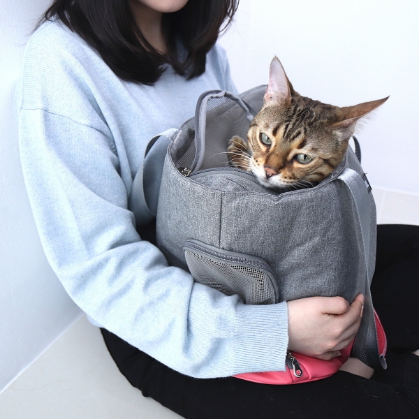 페오펫몰,펫테일 강아지 이동가방 고양이 이동장 애견 캐리어 산책 기내용가방