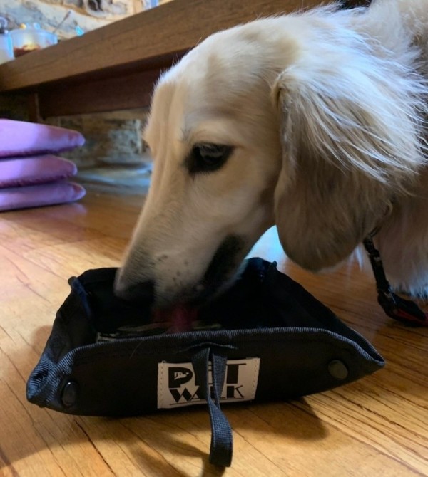 페오펫몰,산책 휴대용 접이식 강아지 밥그릇 물그릇