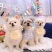 썸네일(스크롤)